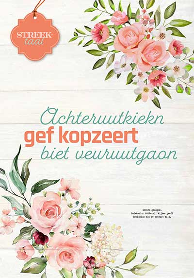 Miniposter: Achteruutkiekn gef kopzeert biet veuruutgoan.