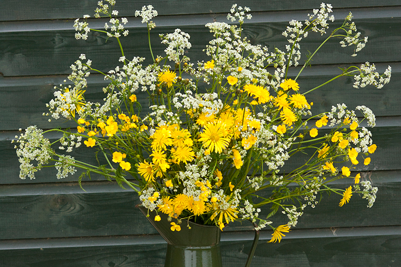 Boeket met fluitenkruid, boterbloem, paardenbloem en voorjaarszonnebloem.