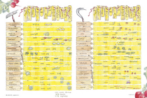 Jaarplan voor de moestuin