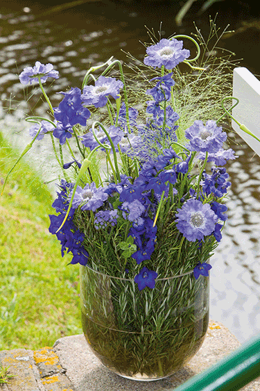 Boeket met Scabiosa en rozemarijn.