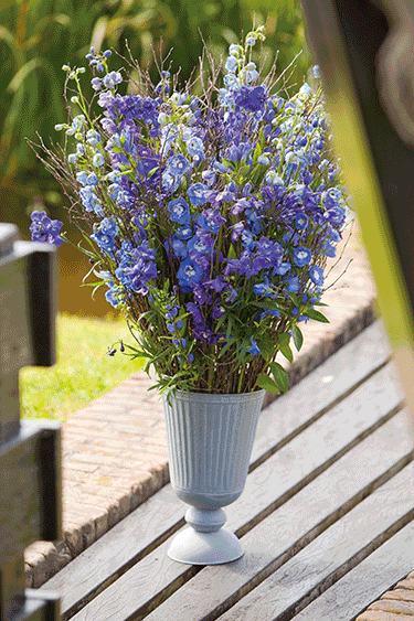 Ridderspoor op de vaas, met Agapanthus.