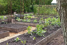 Aanlegtips voor een mooie moestuin