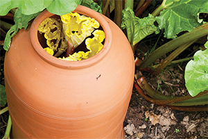 Bleekpotten en stolpen in de moestuin