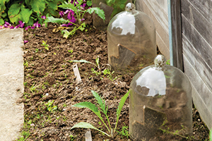 Stolpen in de moestuin